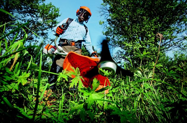 Entretien et maintenance du jardin