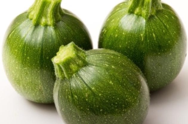 COURGETTE GRAVITY GODET BIO 8/8