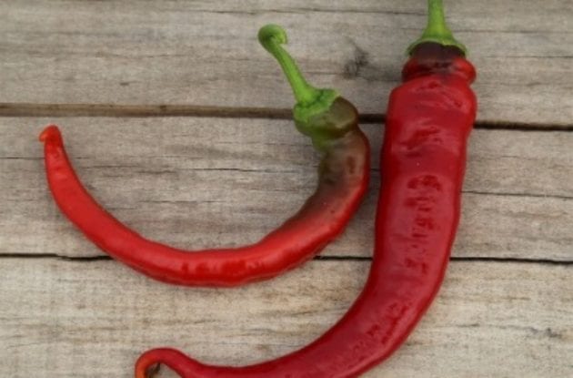 PIMENT DOUX DES LANDES GODET BIO 8/8