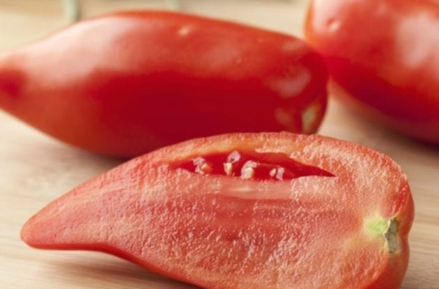 TOMATE ANDINE CORNUE POT BIO 13/10